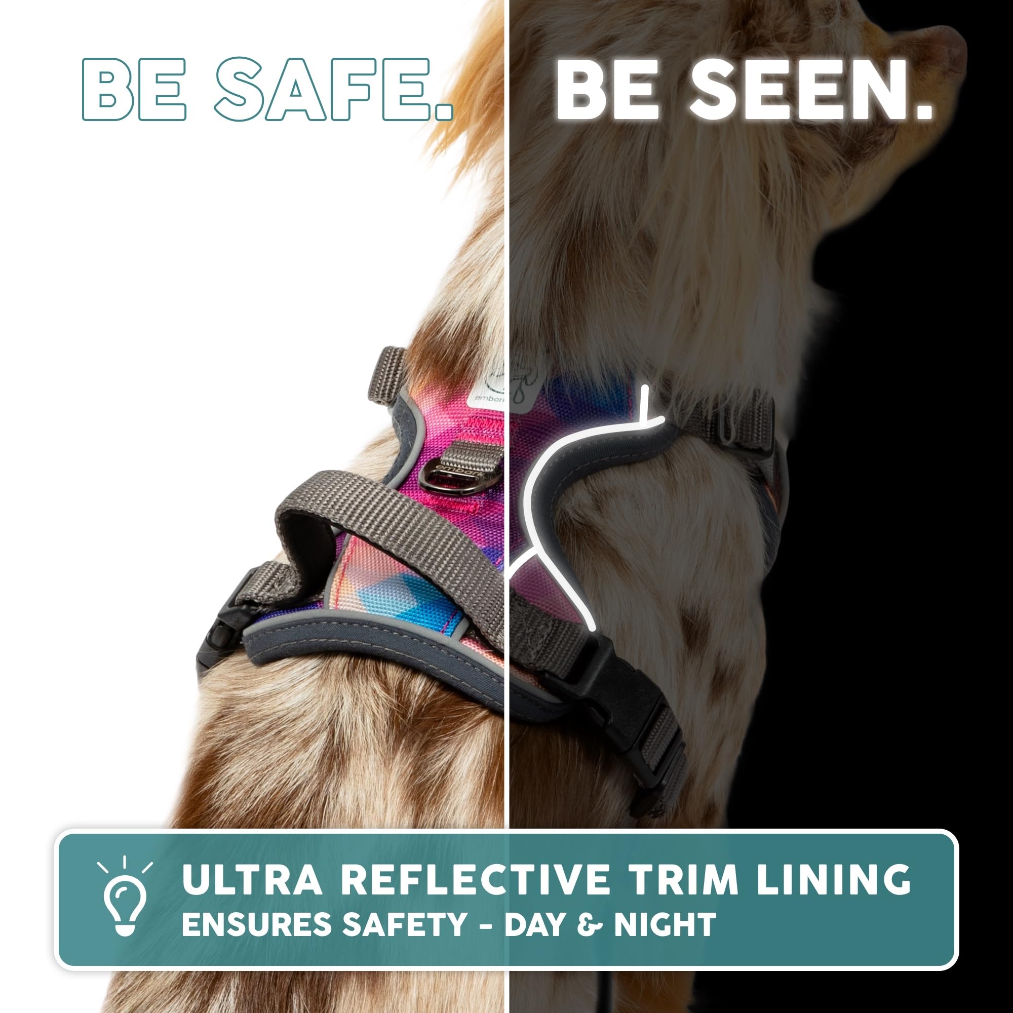 Arnés Embark Pets Adventure ideal para paseos diarios.