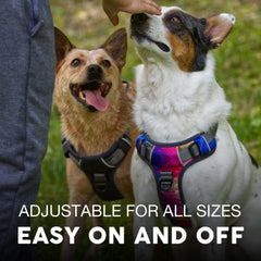 Arnés Embark Pets acolchado para mayor comodidad durante paseos largos.