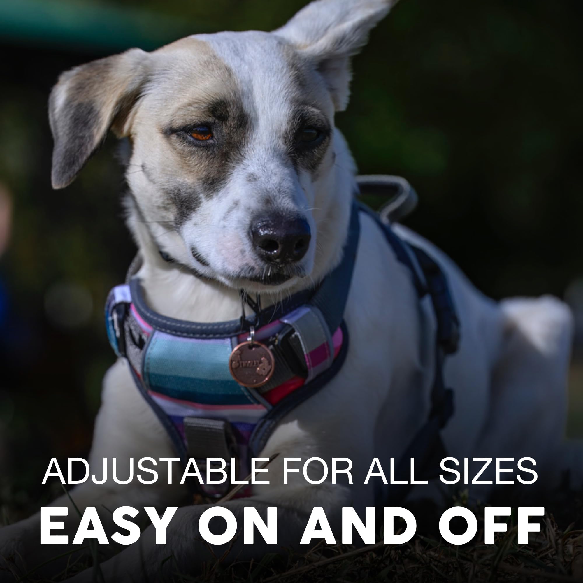 Arnés Embark Pets Adventure con asa gel acolchado para control suave.