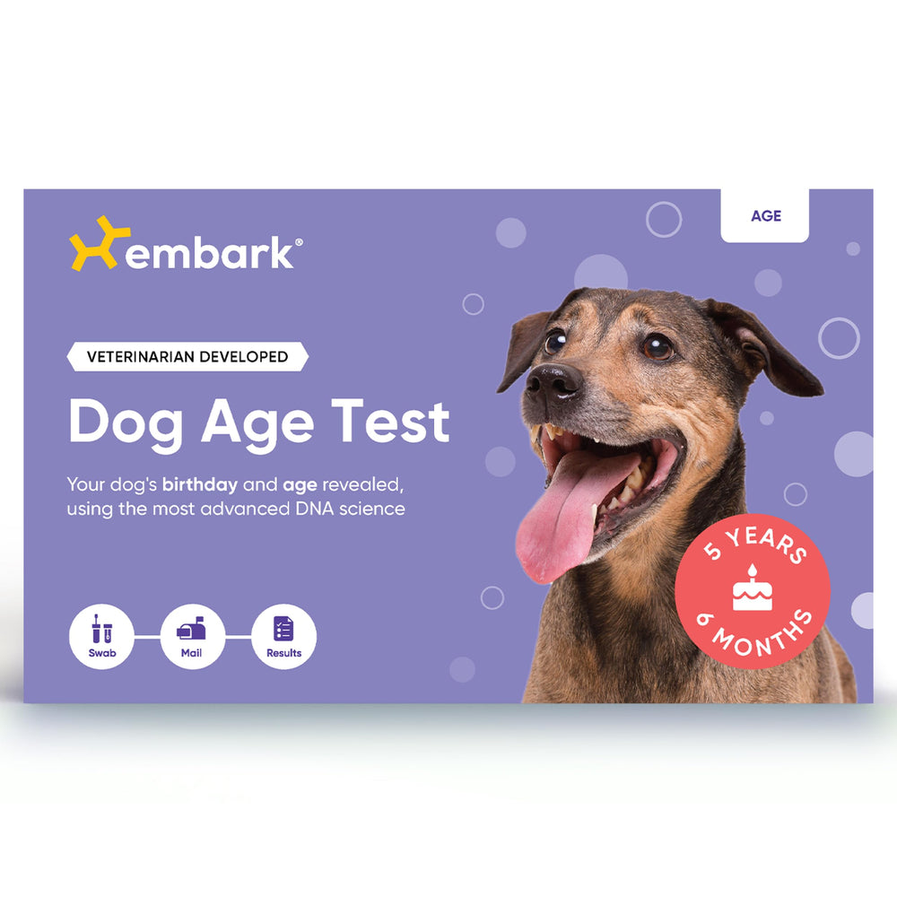 Embark Prueba de Edad para Perro: activación rápida del kit.