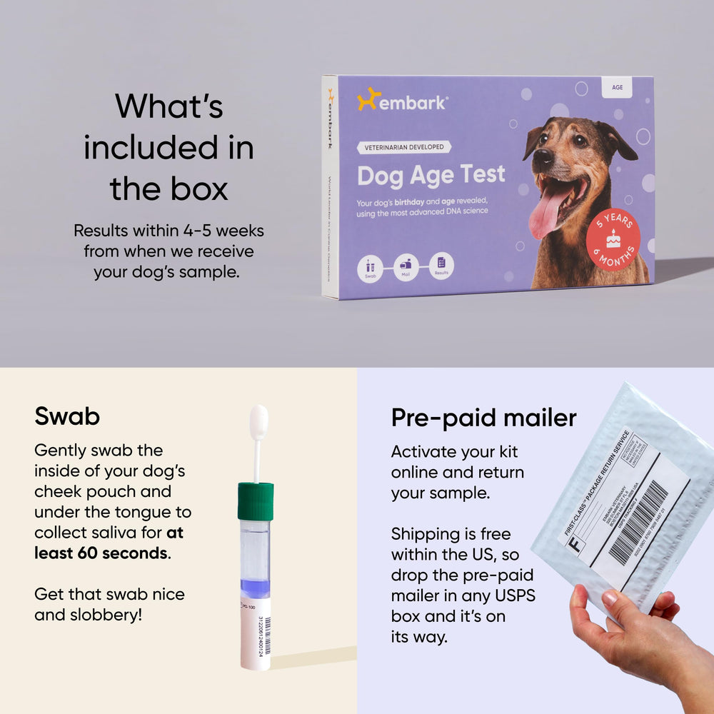 Embark Prueba de Edad: resultados en 4–5 semanas para planificar cuidados.