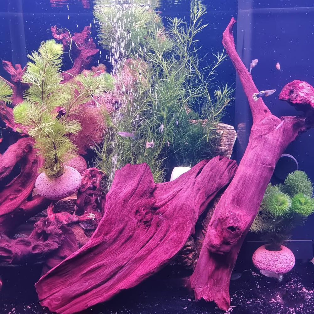 emours driftwood: conjunto de 4 piezas, formas únicas