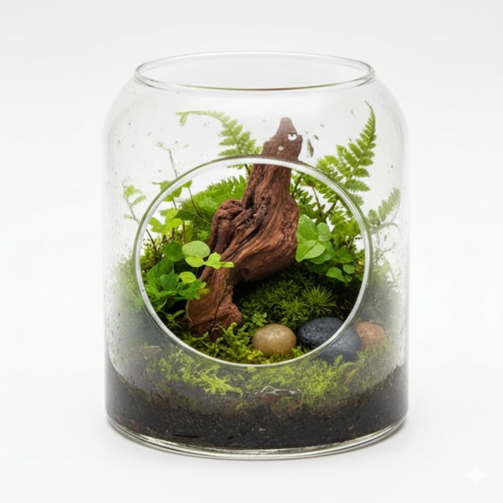 emours driftwood: ramas adecuadas para bonsai y arreglos decorativos