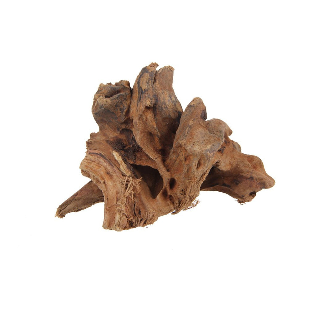 Emours driftwood para acuario, acabado natural que realza el paisaje del tanque.