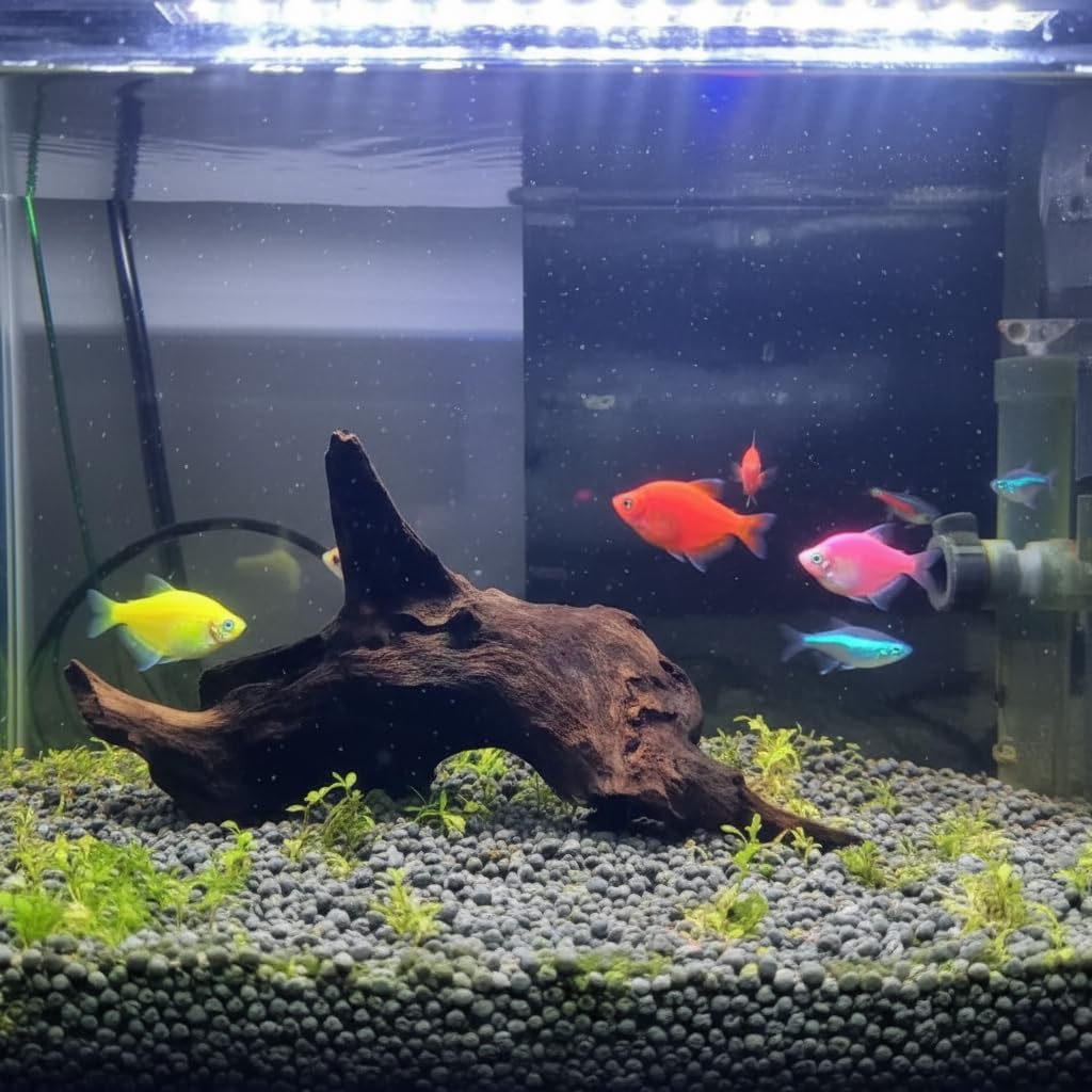 emours Madera flotante para acuario, refugio para peces nocturnos y pequeños.