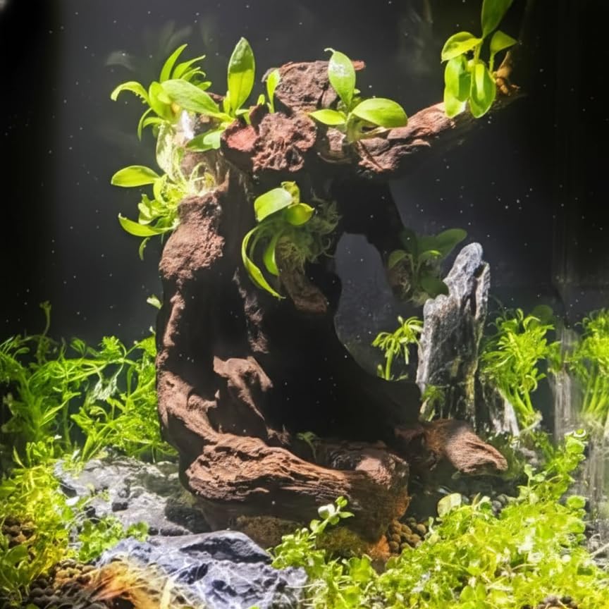 emours madera natural para acuario, ornamento único de aspecto realista.