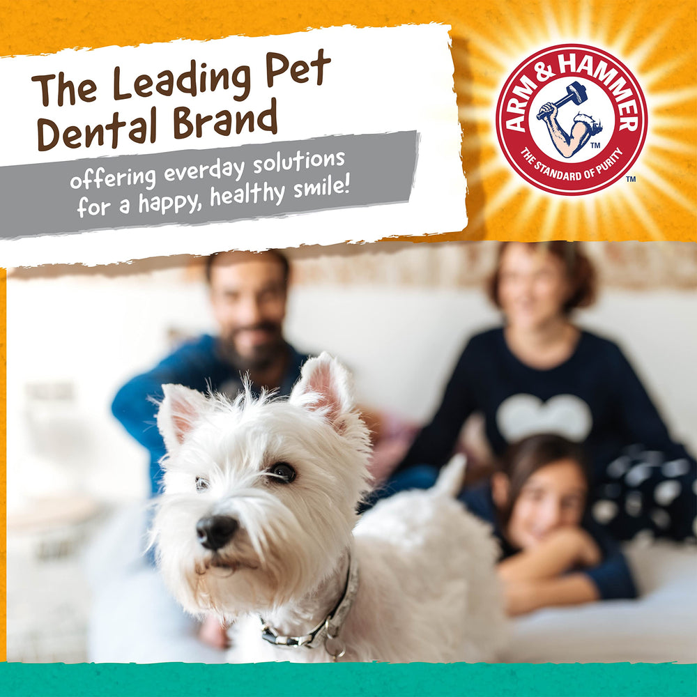 Empaque de Arm & Hammer Gorilla Treadz, juguete dental duradero para mascotas