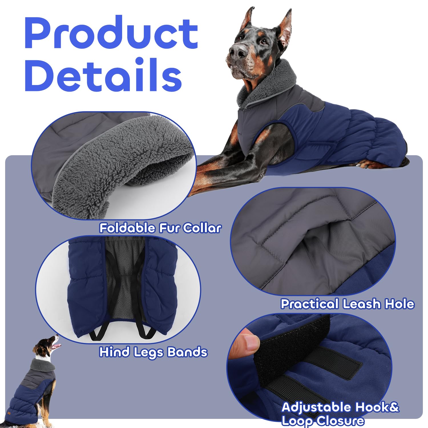 EMUST capa para perro grande L con diseño anti viento protegiendo al perro en días fríos.