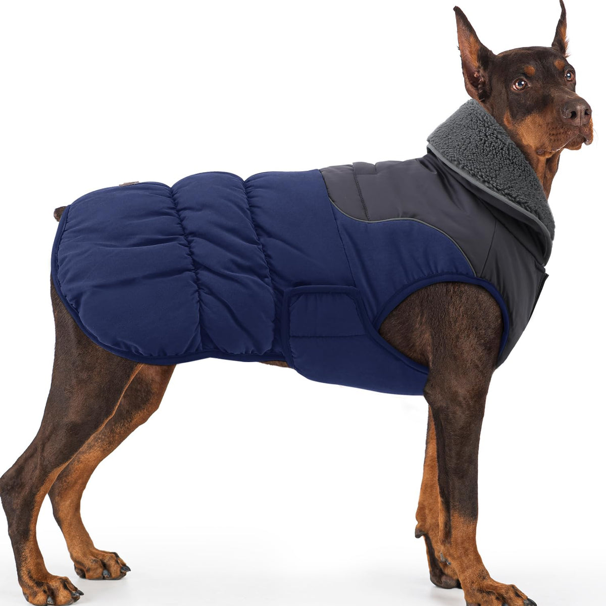 EMUST capa para perro grande L con tejido polar cálido para paseos invernales.