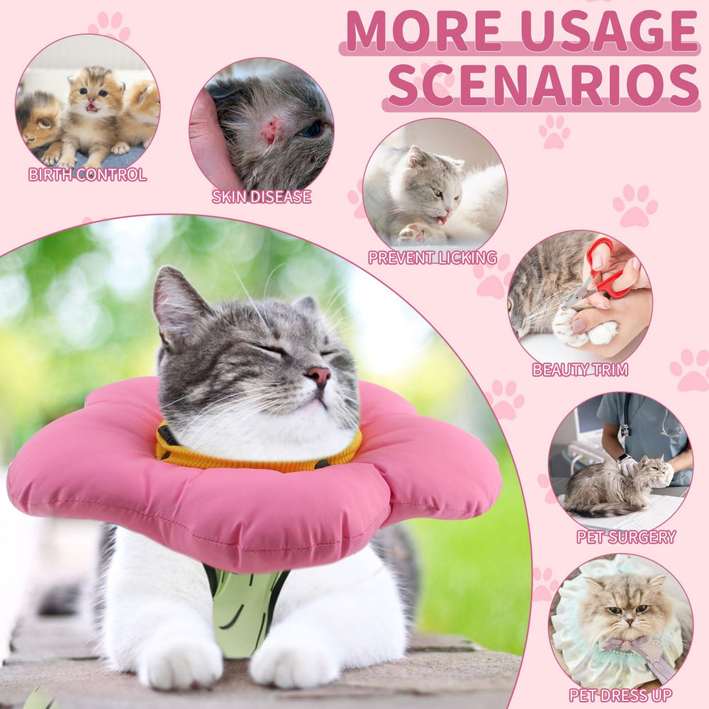 Traje EMUST para gato de dorso, protege la herida y permite moverse con facilidad.