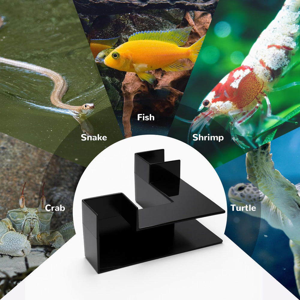 EMUTOL túnel para camarones como refugio y ruta de exploración