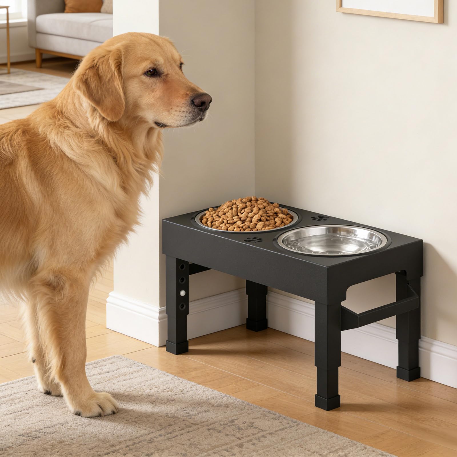 Enayplon: tazones de acero inoxidable de dos piezas, duraderos para perros.