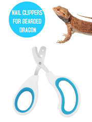 Engorgio con mango ergonómico para dragón barbudo, comodidad durante el cuidado.