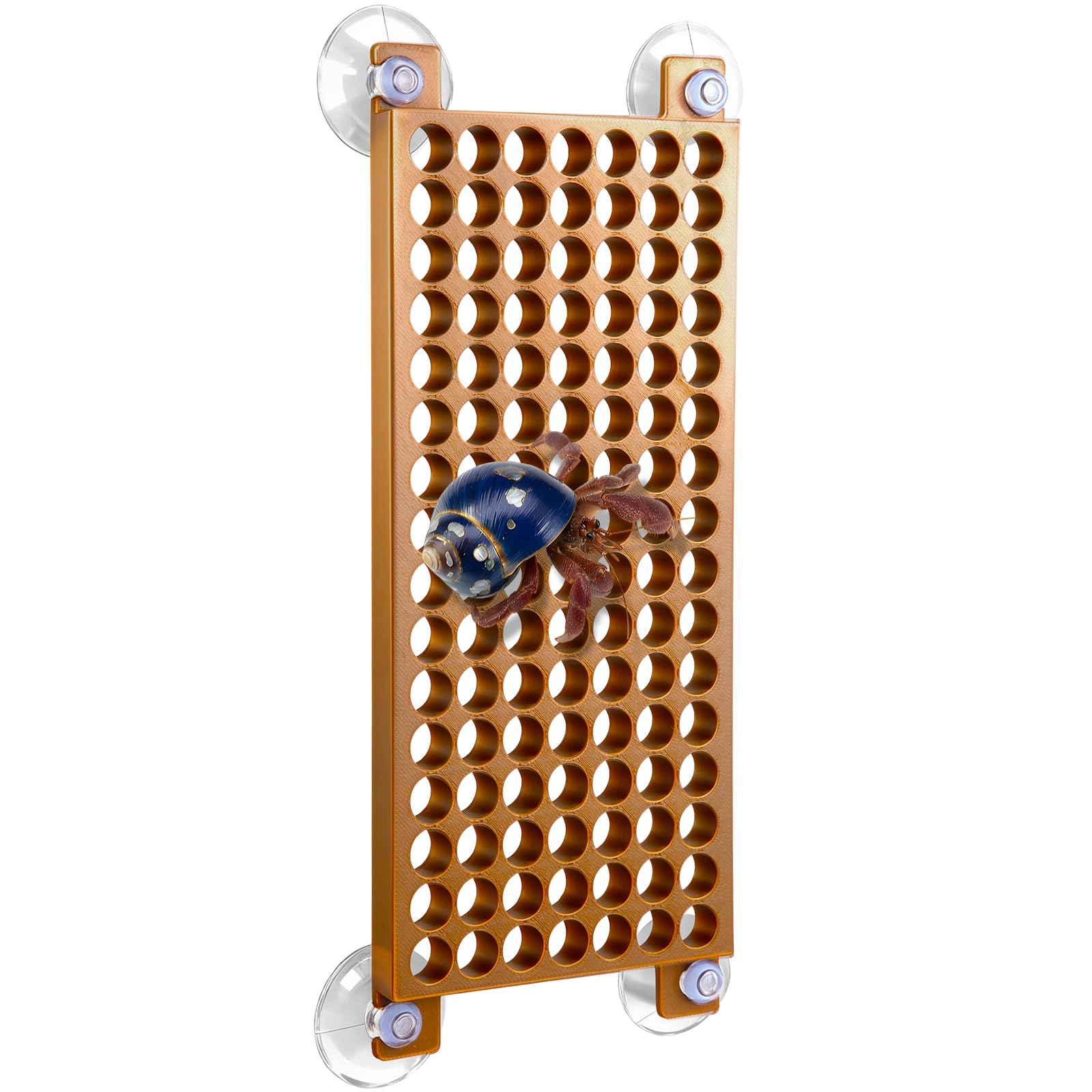 Enhon escalera para cangrejo ermitaño, escalada vertical en acuario.