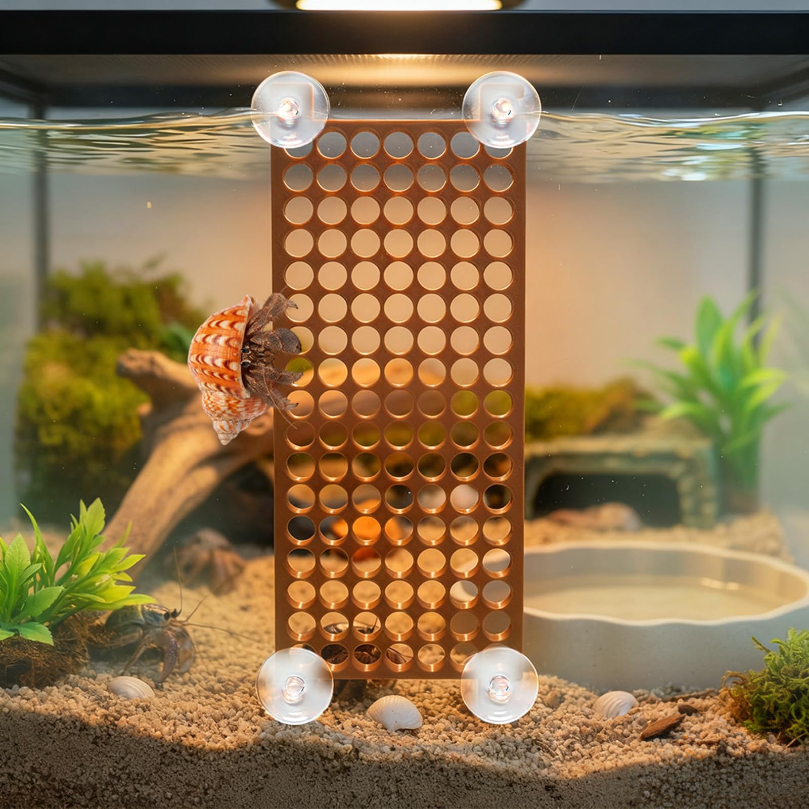 Kit inicial Enhon para acuario de cangrejo ermitaño, montaje sencillo.