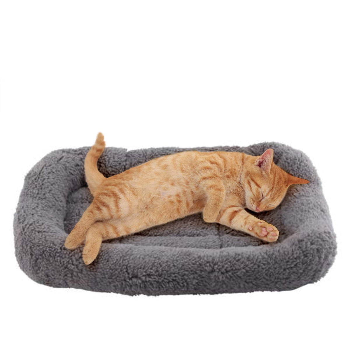 Enjoying cama para gatos, vista frontal, descanso cómodo.