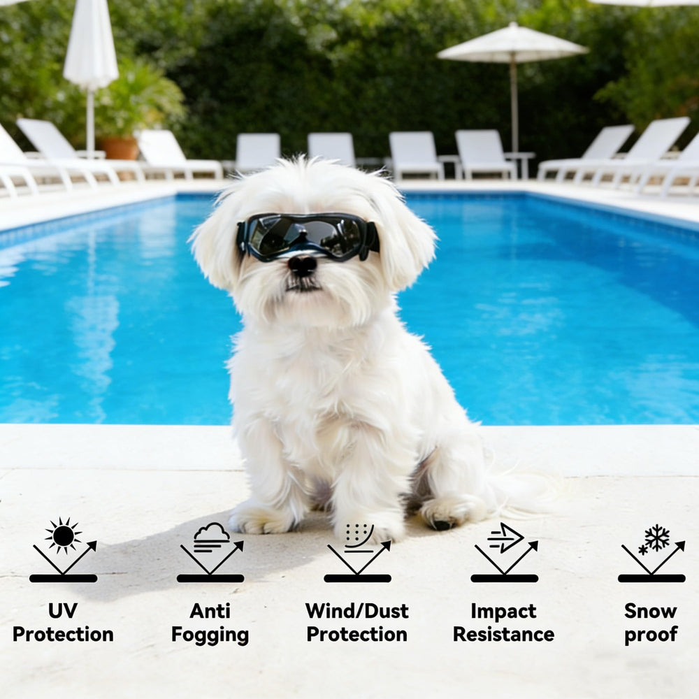 Gafas Enjoying para perro pequeño con acolchado de espuma para mayor comodidad durante el uso.
