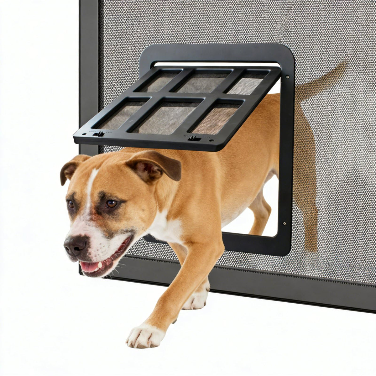 Puerta Enjoying para perros con acceso libre a través de la pantalla.