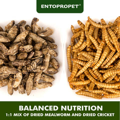 Entopropet mezcla premium de snack para aves, tortugas y peces tropicales, comodín nutritivo.