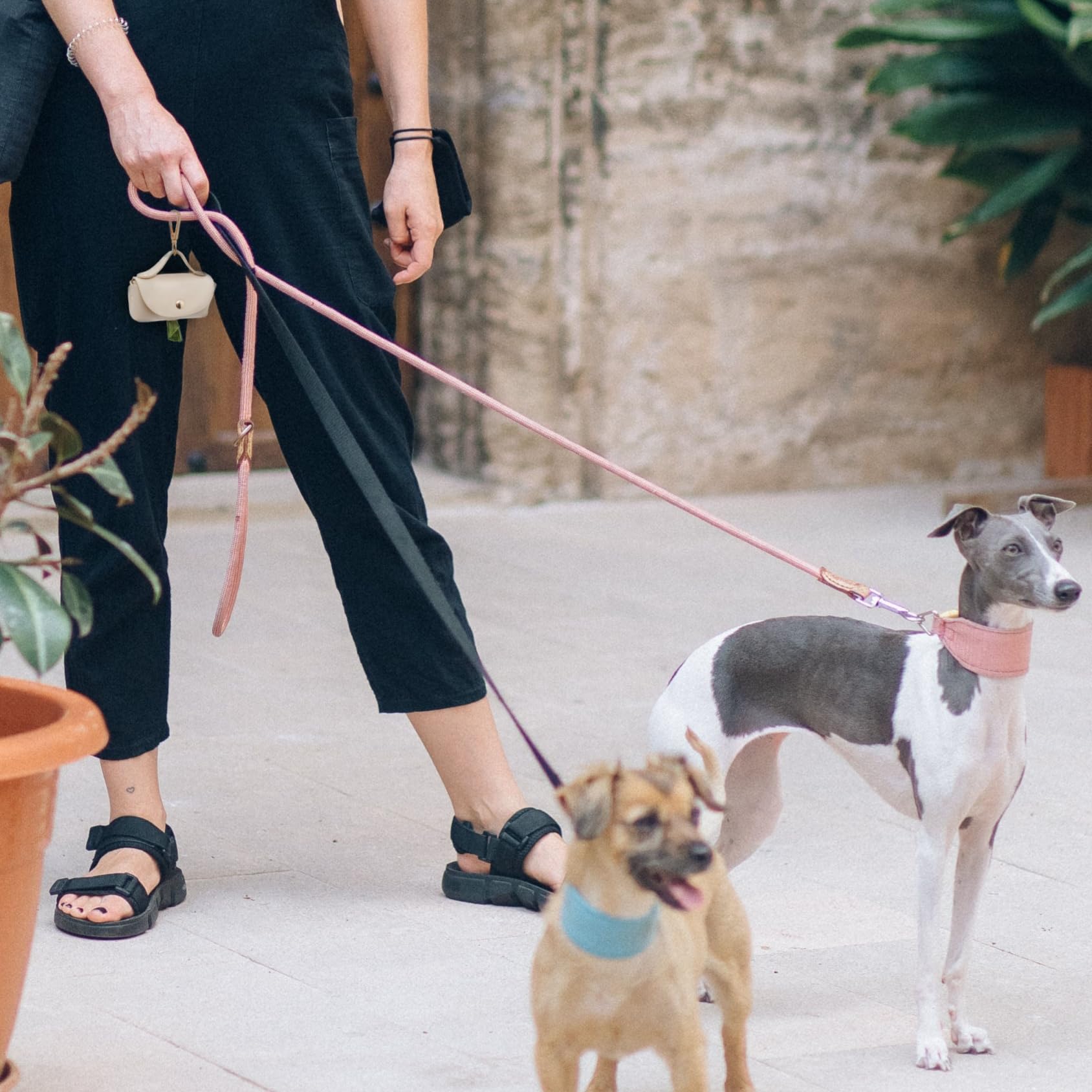 ENWIQUE accesorio práctico para excursiones al exterior con tu mascota.