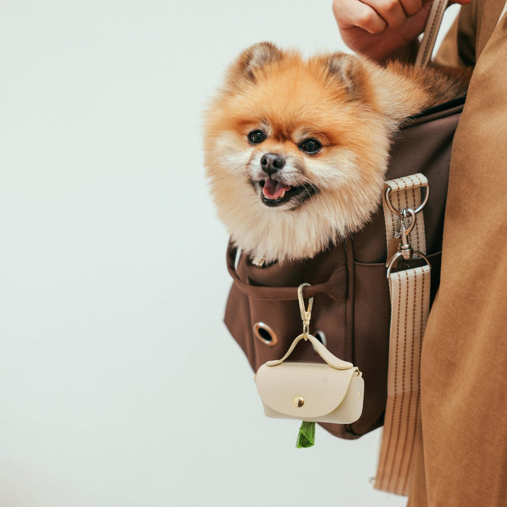 ENWIQUE diseño universal recargable, compatible con bolsas estándar.