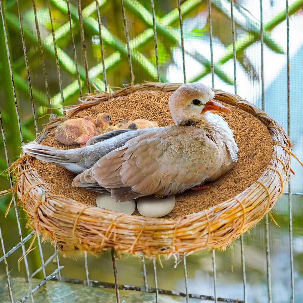 Aplicaciones amplias: aves pequeñas y roedores como hámsters.