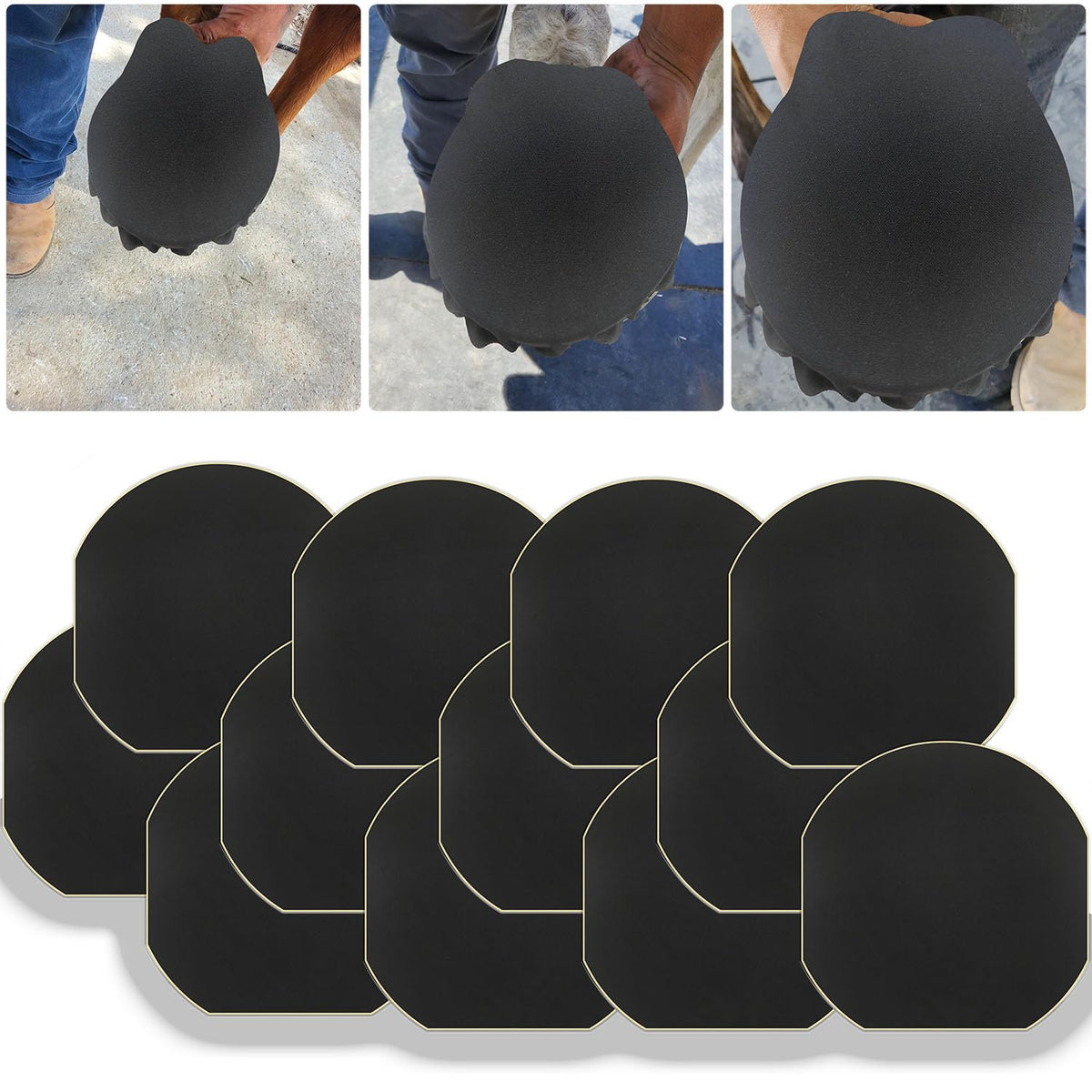 EPICHORIZON cinta adhesiva para pezuñas de caballo, algodón transpirable y cómodo.