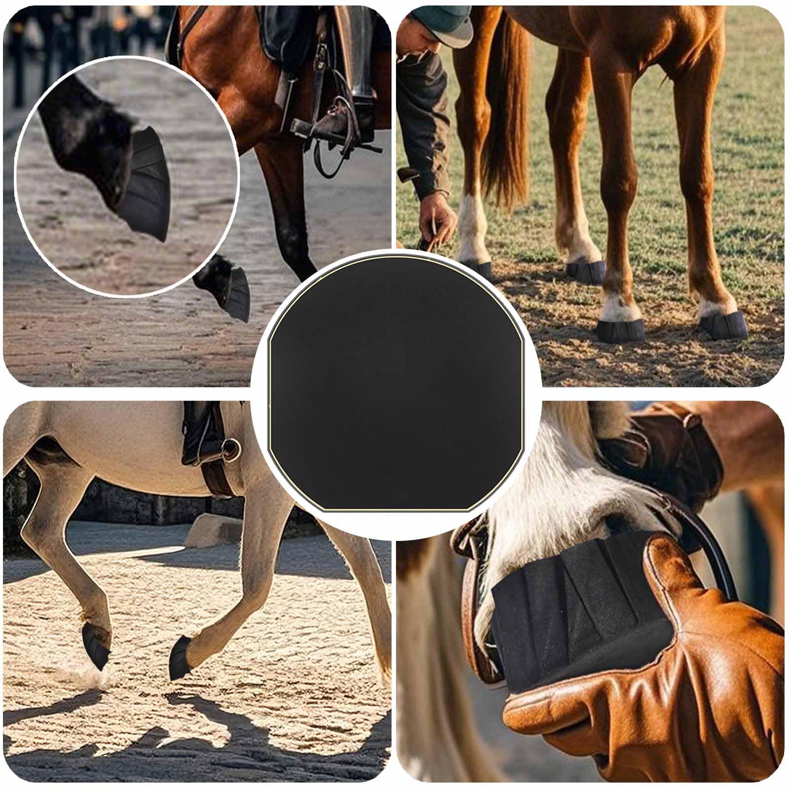 EPICHORIZON paquete de doce piezas para caballos.