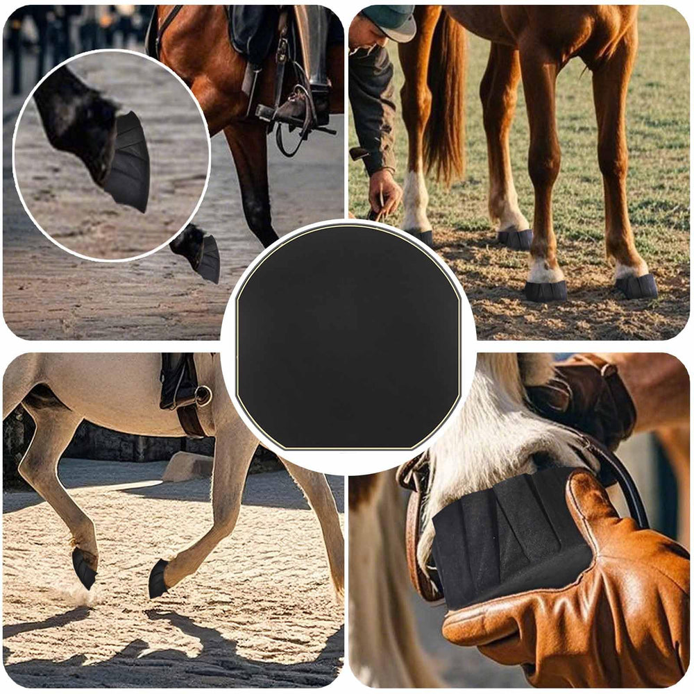 EPICHORIZON paquete de doce piezas para caballos.