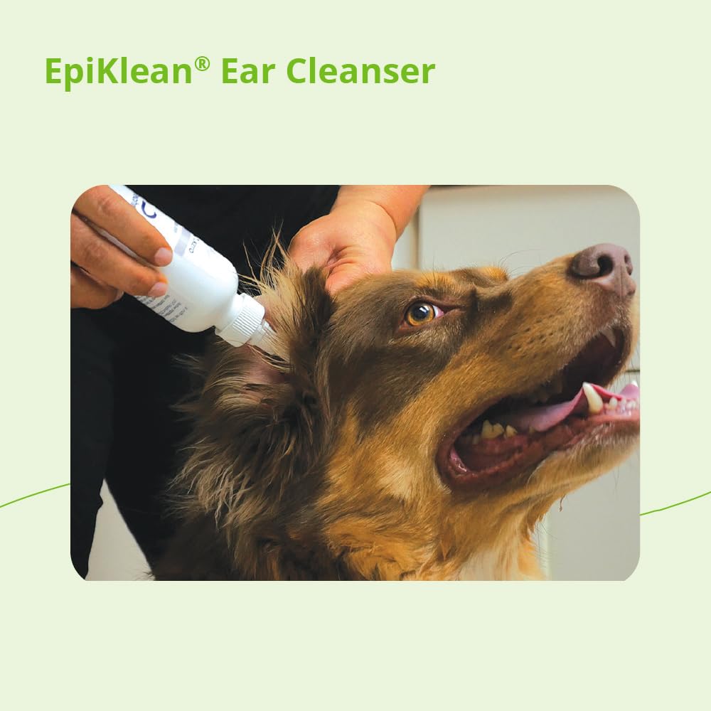 Epiklean proceso-limpieza-orejas, ayuda a eliminar residuos.