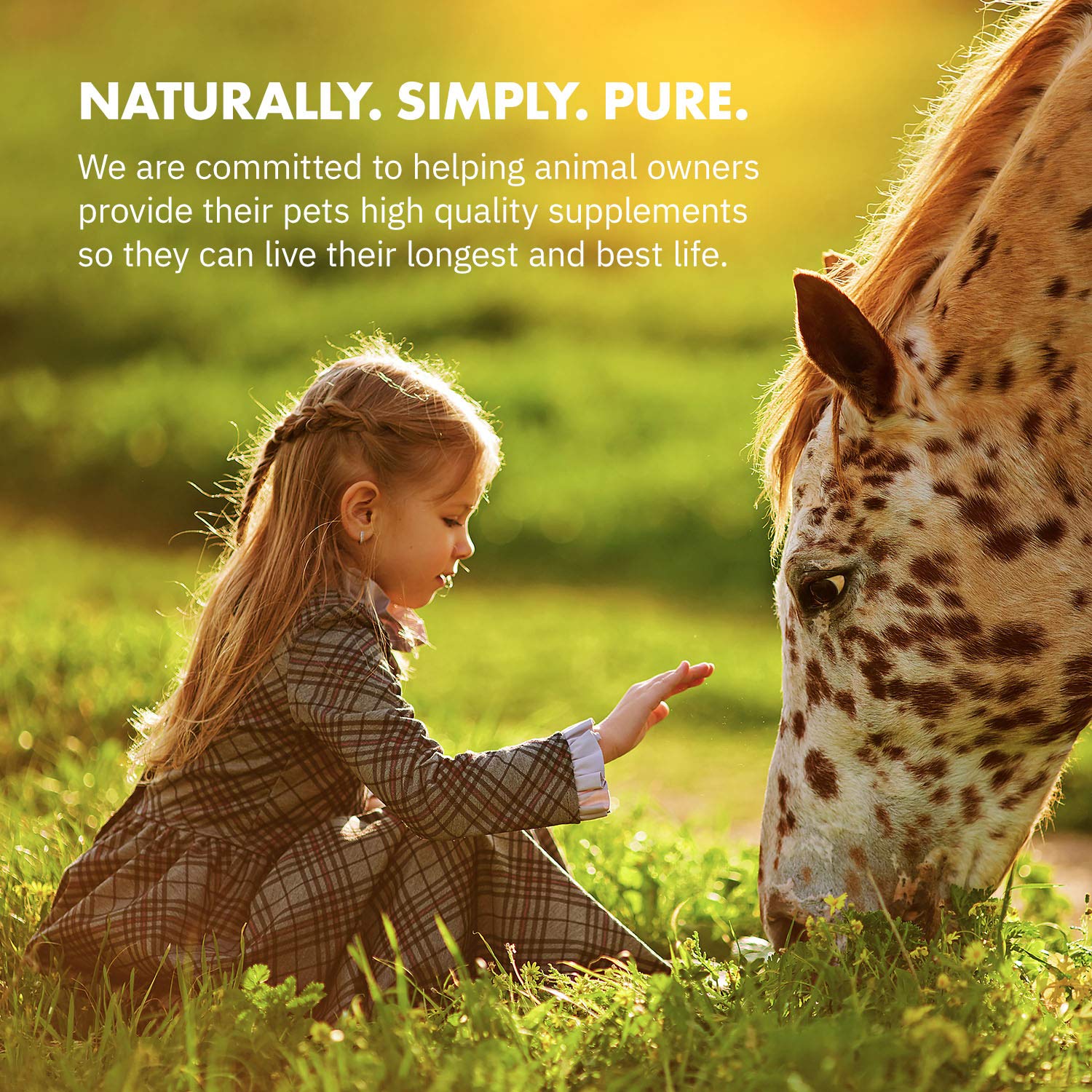 Etiqueta de producto Equa Holistics HealthyGut con información natural.