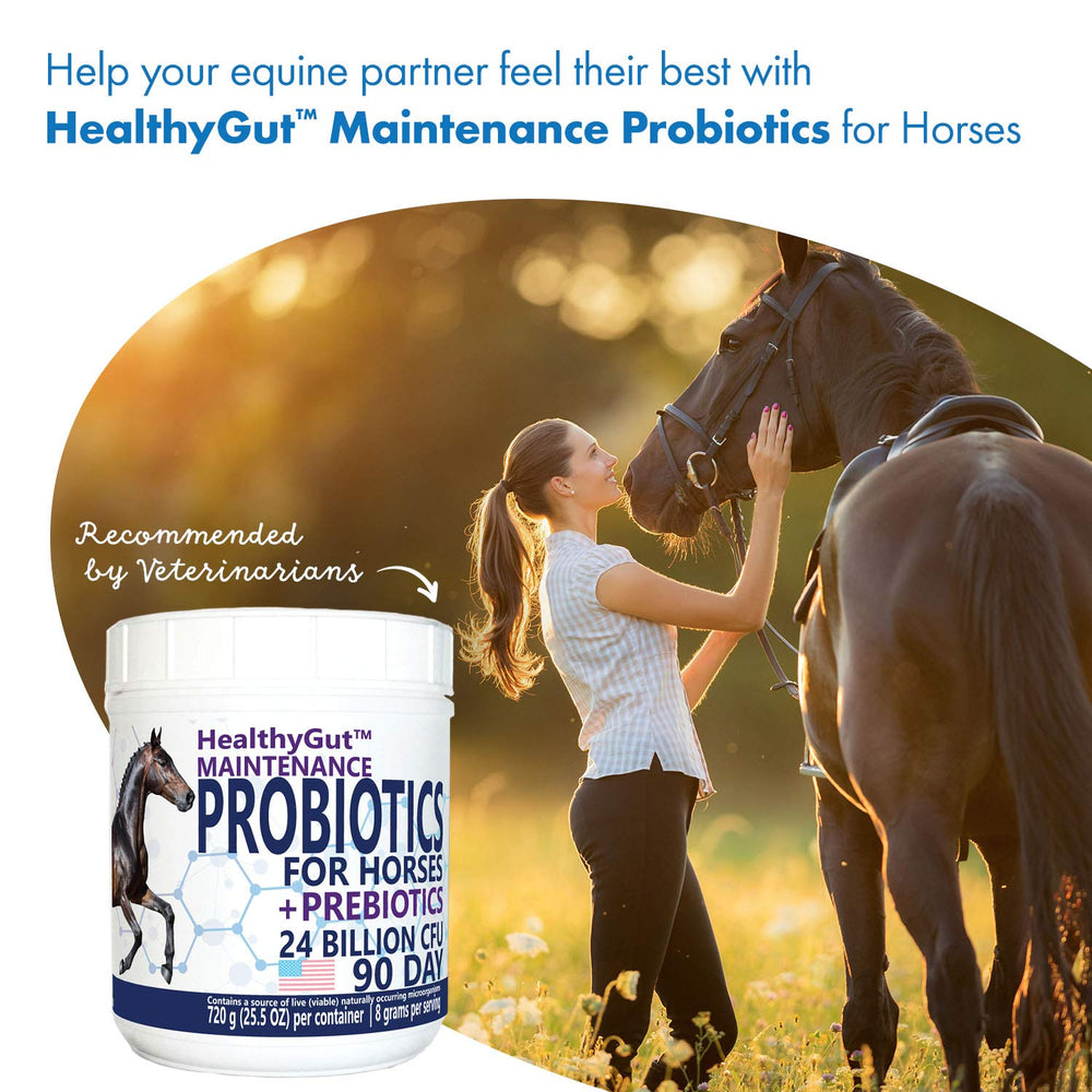 Imagen de inulina y probióticos para la salud intestinal.