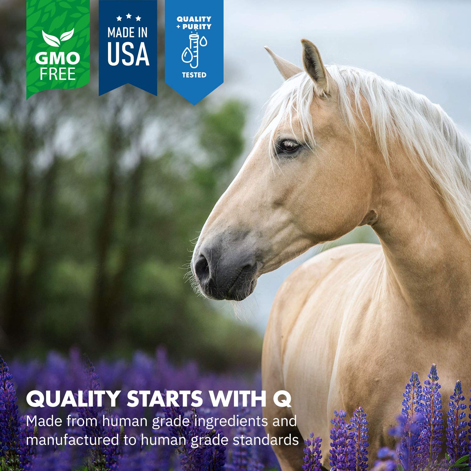 Equa Holistics HealthyGut: mezcla natural de probióticos para la microbiota equina