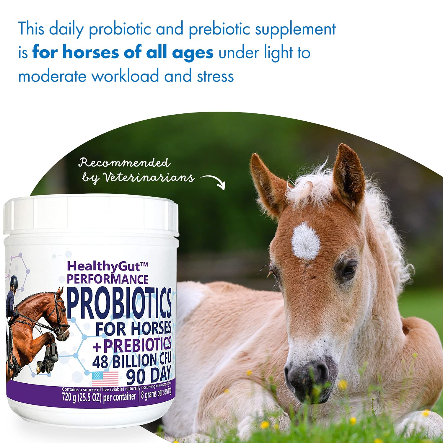 Equa Holistics HealthyGut, caballo comiendo su alimento con suplemento