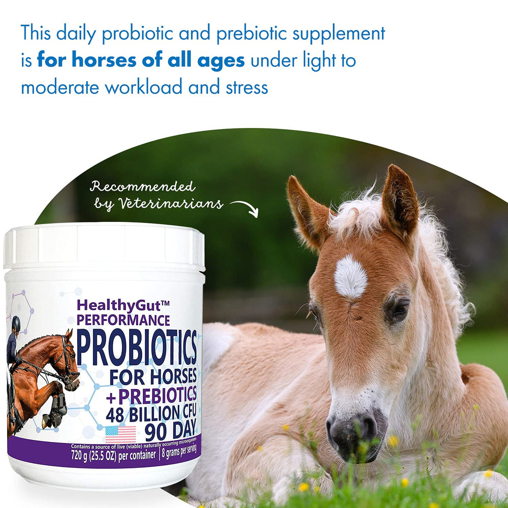 Equa Holistics HealthyGut, caballo comiendo su alimento con suplemento