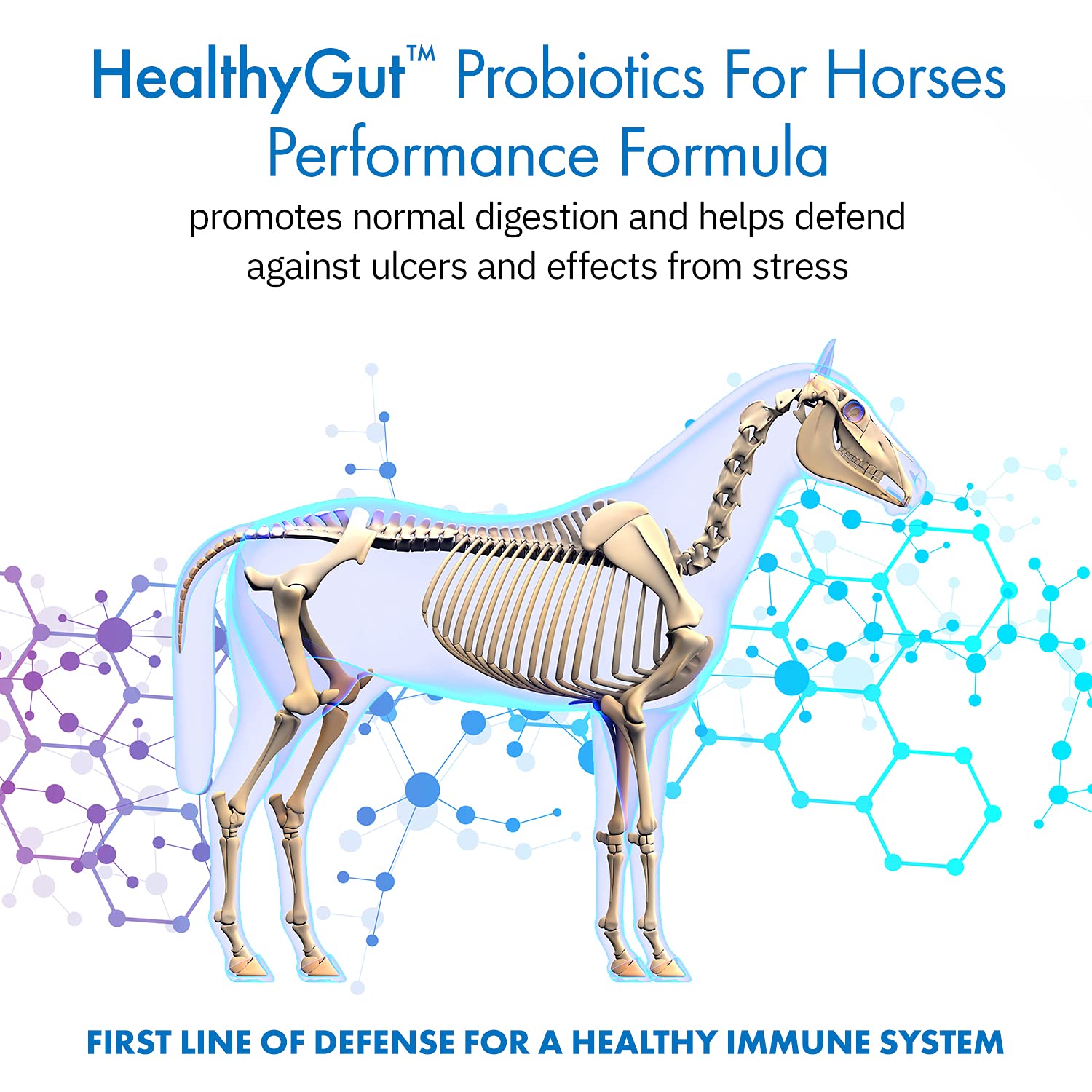 Equa Holistics HealthyGut, envase visible con etiqueta y detalles de calidad