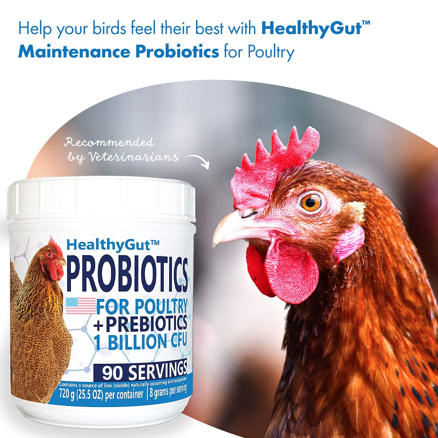 Equa Holistics HealthyGut Probiotics: dosis diaria sobre comida de aves.