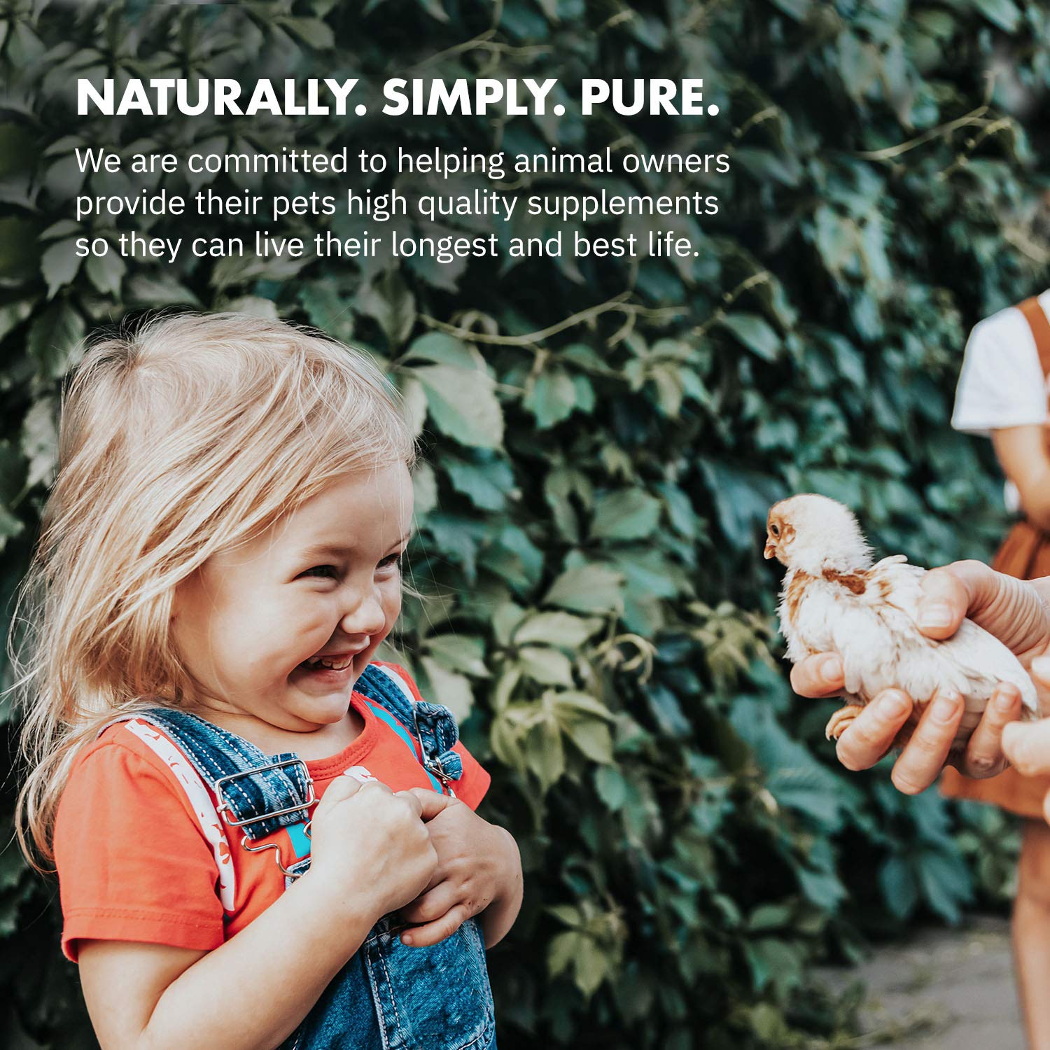 Envase de HealthGut Probiotics de Equa Holistics para granja avícola