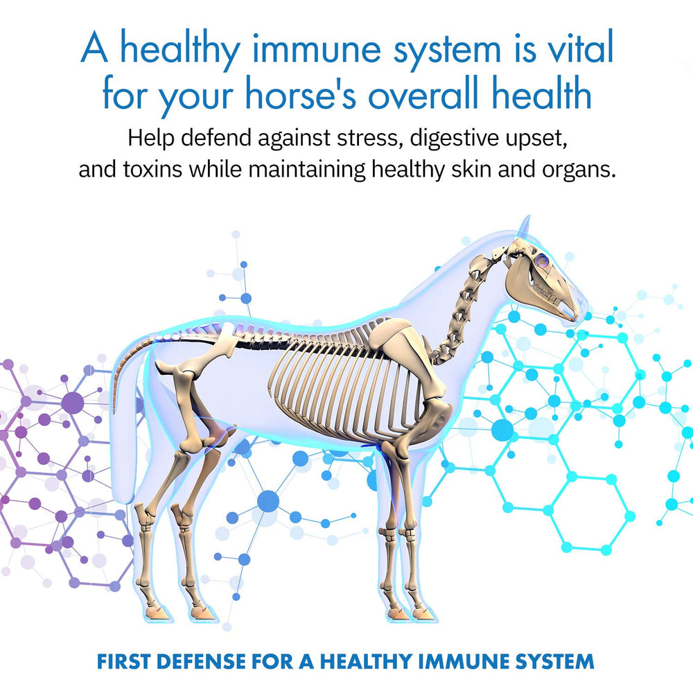 Equa Holistics HealthyGut: siringas orales de 7 días para potros