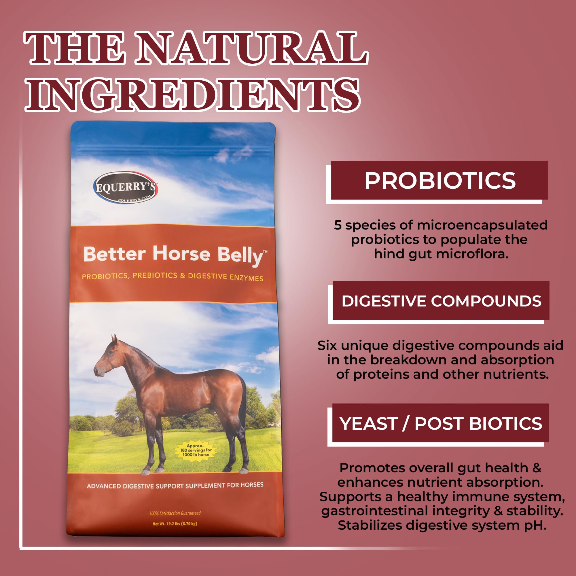 Equerry's Enzimas digestivas caballo frasco mejora digestión y confort estomacal.