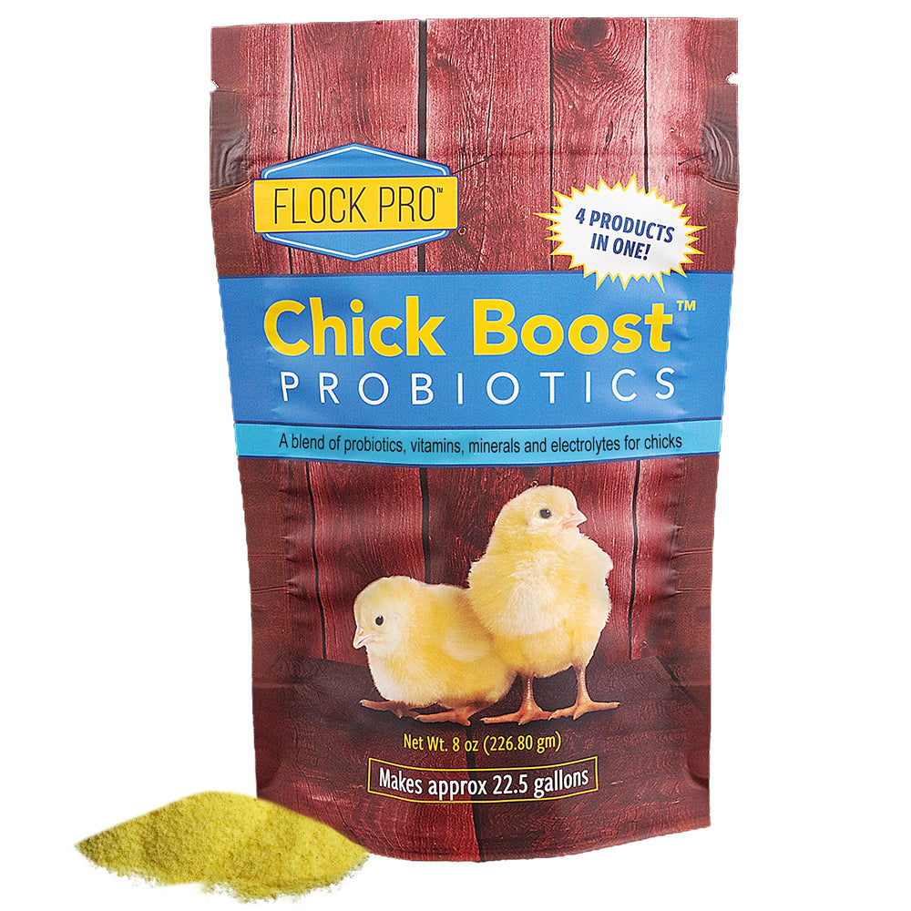 Equerry's Flock PRO Chick Boost Probiotic – botella, apoyo digestivo para pollitos