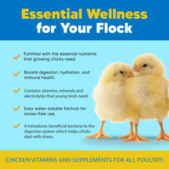 Equerry's Flock PRO Chick Boost Probiotic – cucharita medidora, dosis diaria para aves jóvenes