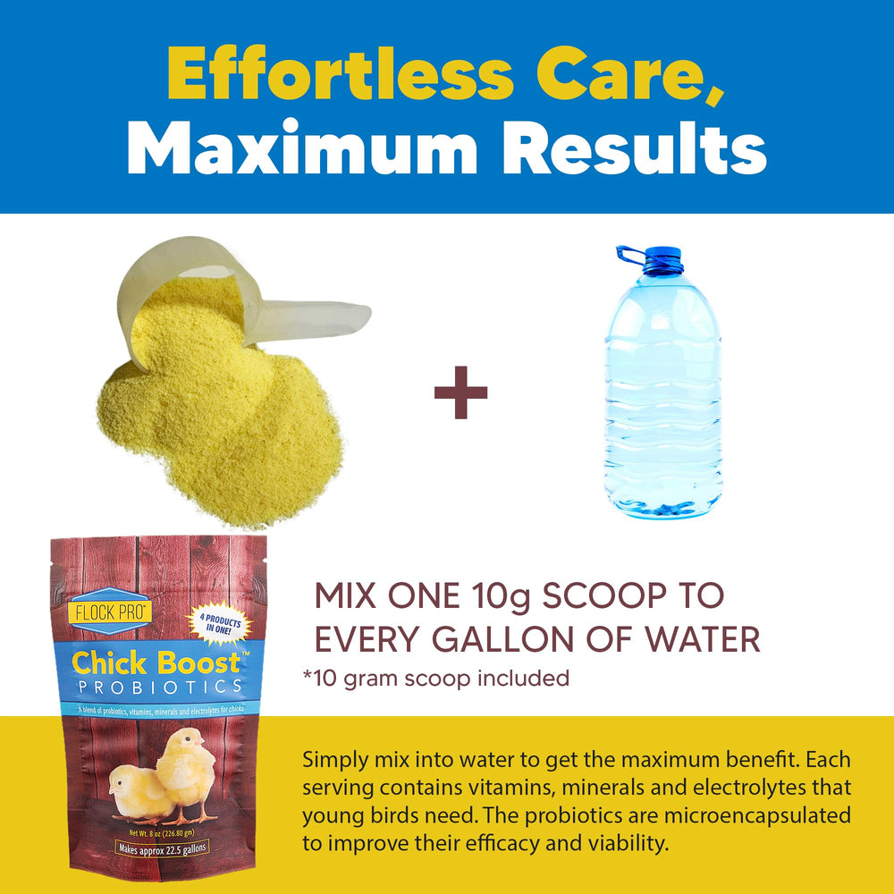 Equerry's Flock PRO Chick Boost Probiotic – dosis diaria para pollitos en agua