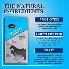Equerry's Probiótico para Grandes Animales: polvo listo para mezclar.