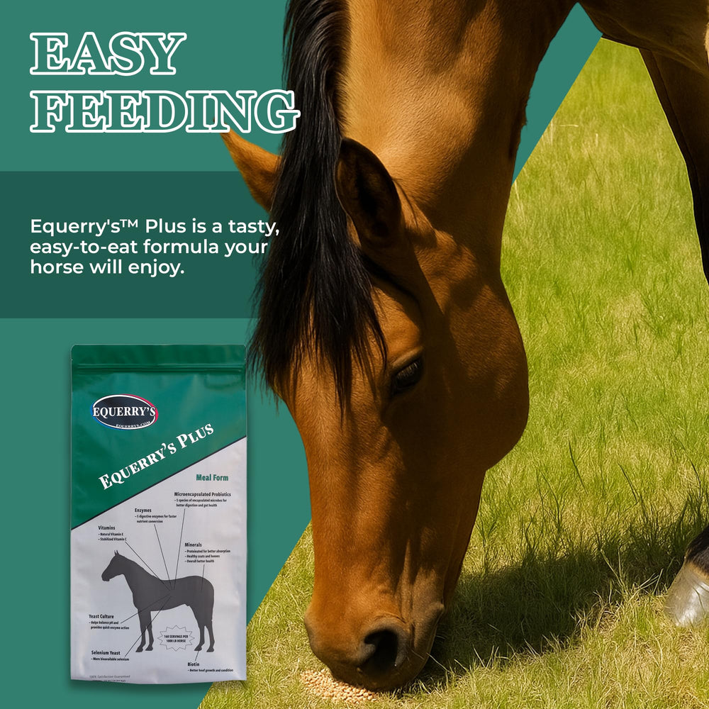 Equerry's Plus; vitaminas y minerales, nutrición para vitalidad diaria.