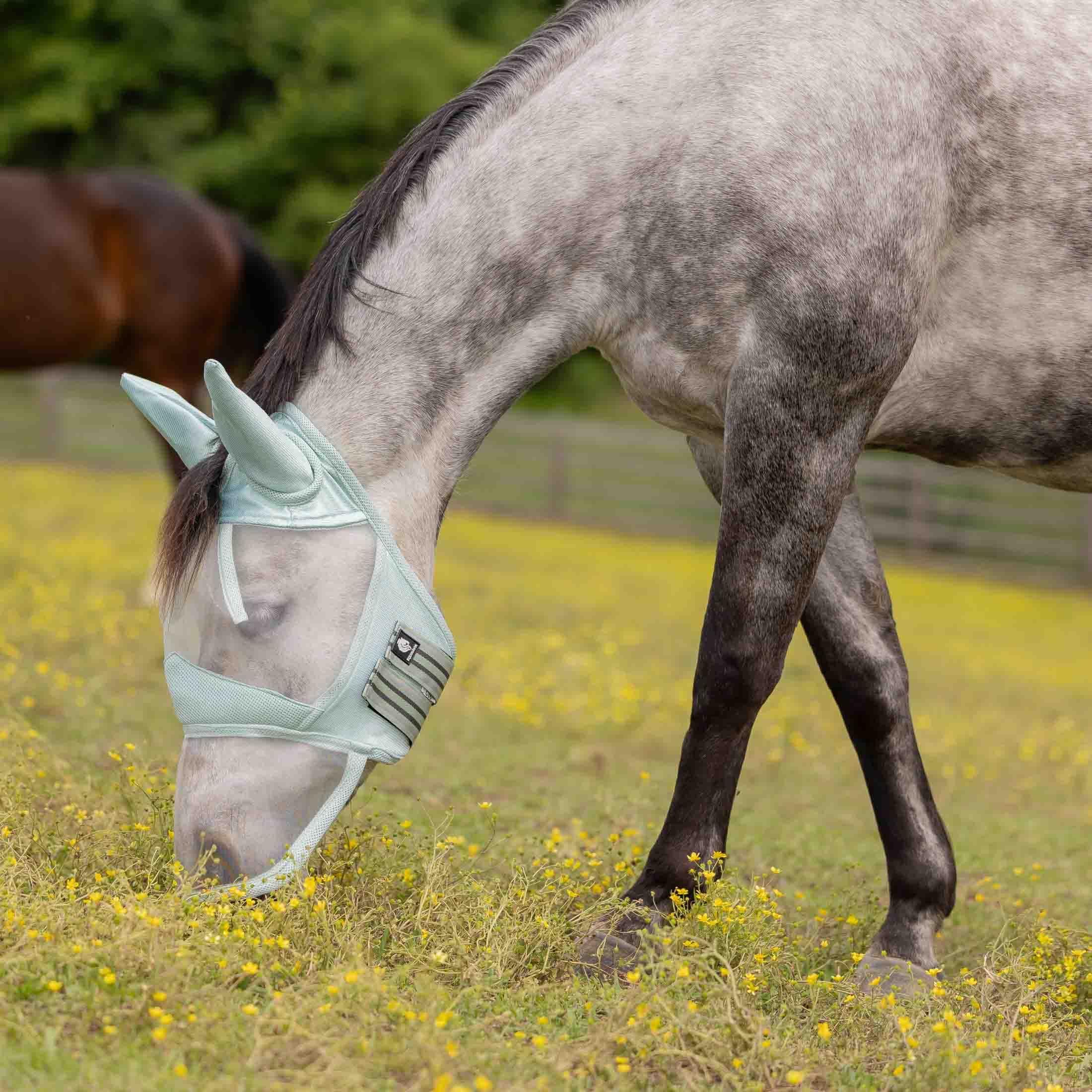 Equinavia Algard: malla suave naríz largo para protección contra insectos en caballos