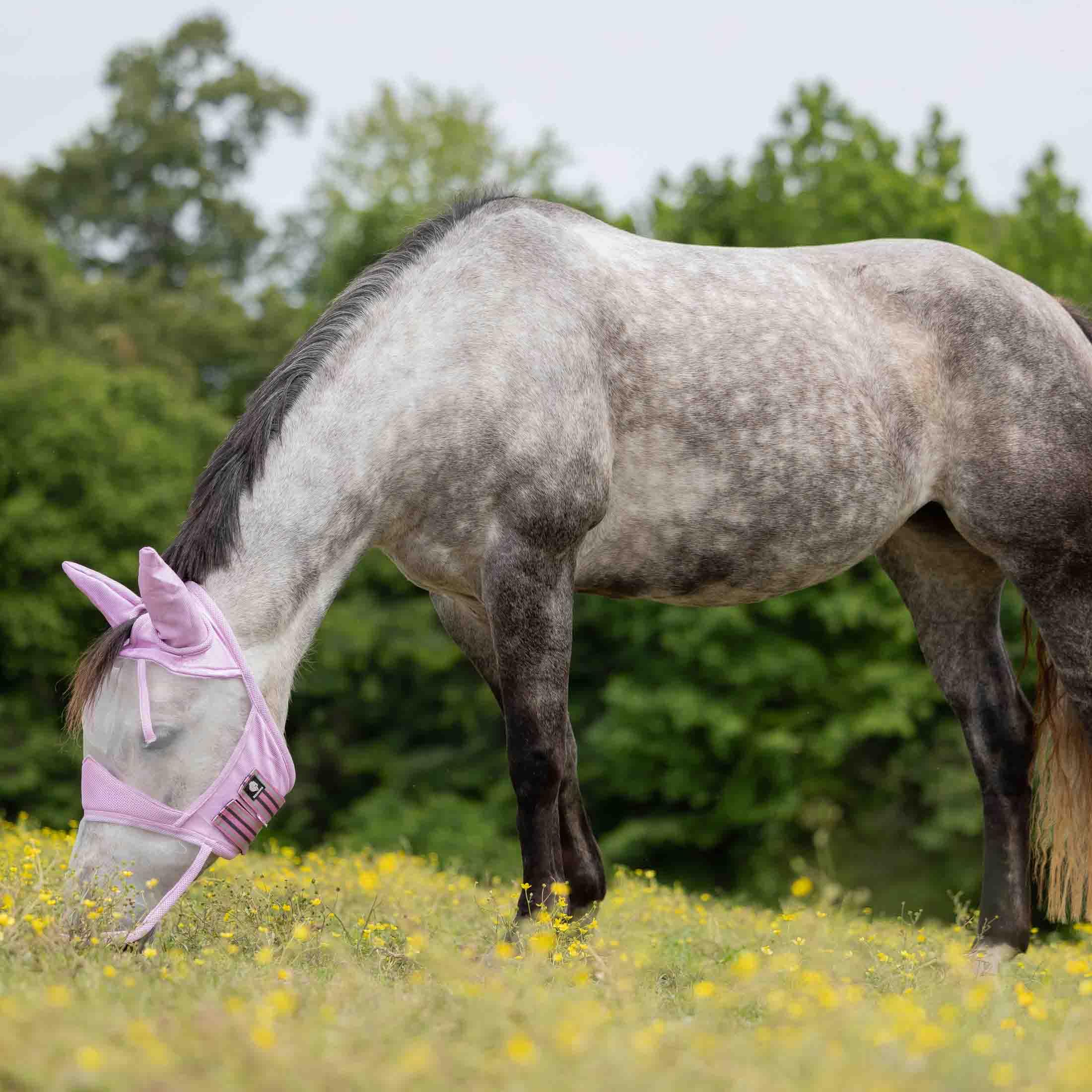 Protección UV UPF 45 para cabalgatas al aire libre