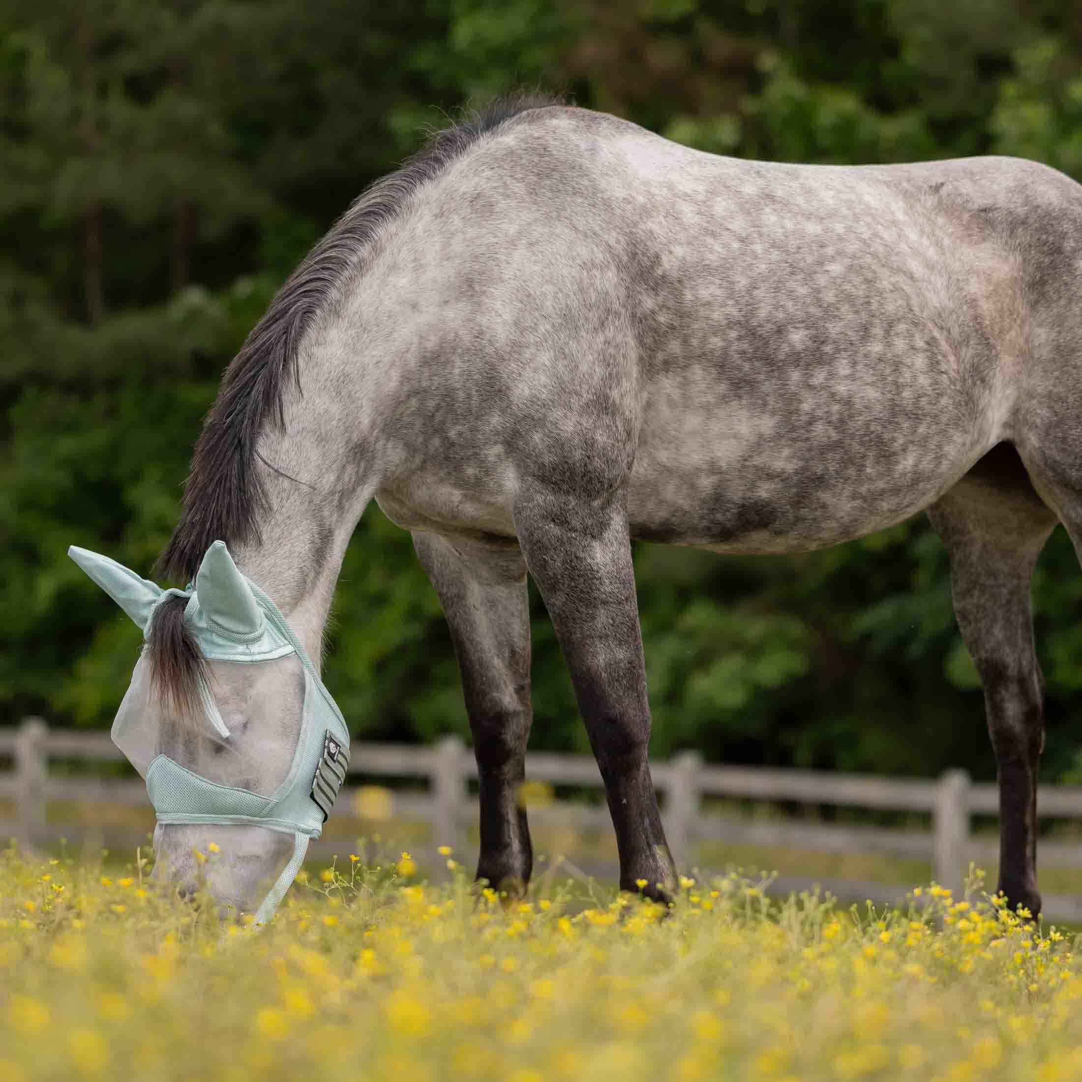 Equinavia Algard protección UV UPF 45 para días soleados