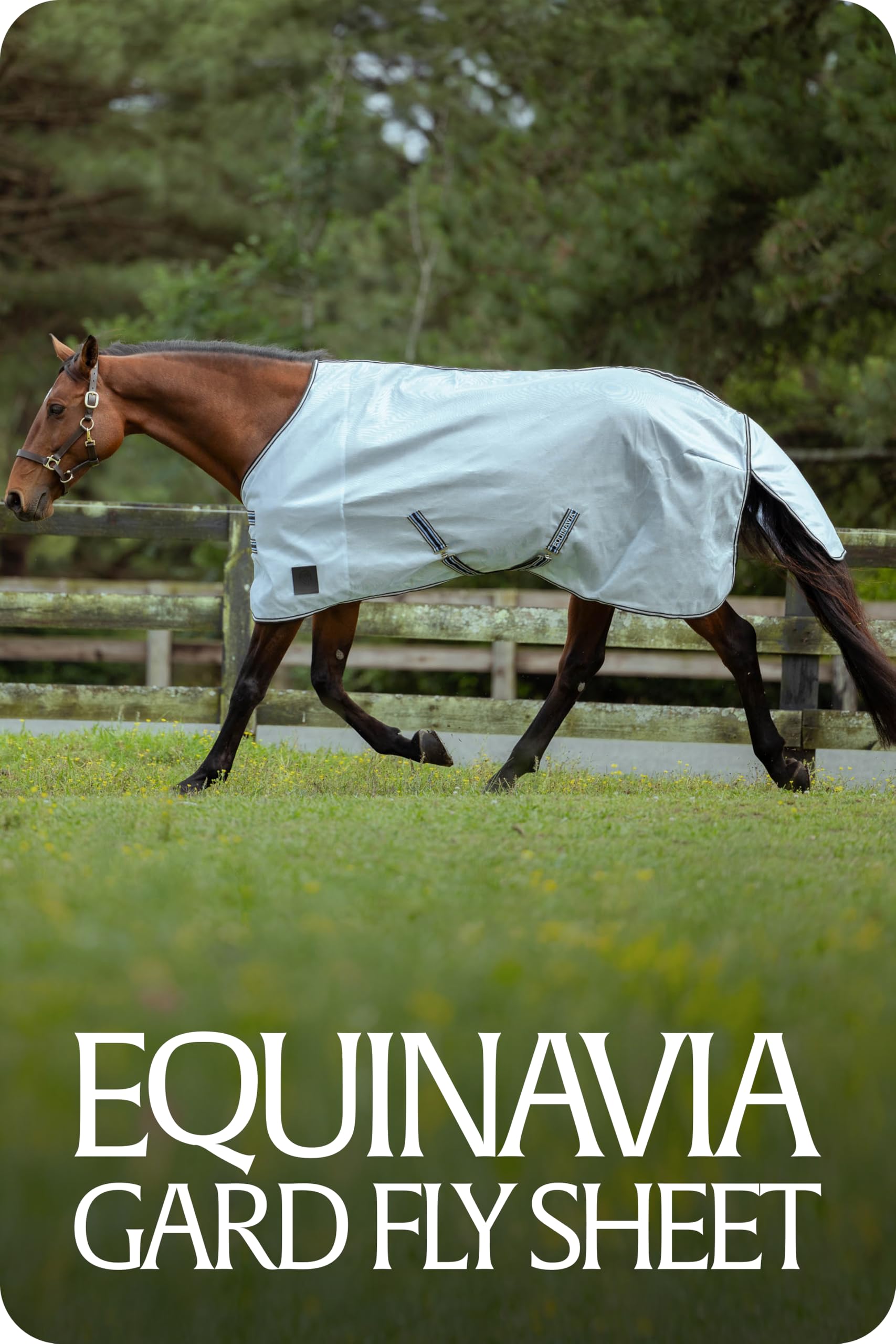 Equinavia Gard manta azul claro, talla 69–84 pulgadas para caballos.
