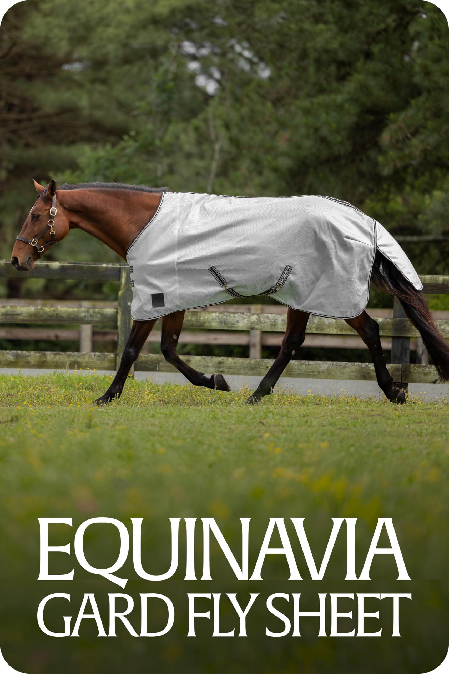 Equinavia Gard tallas 69 a 84 pulgadas para caballos